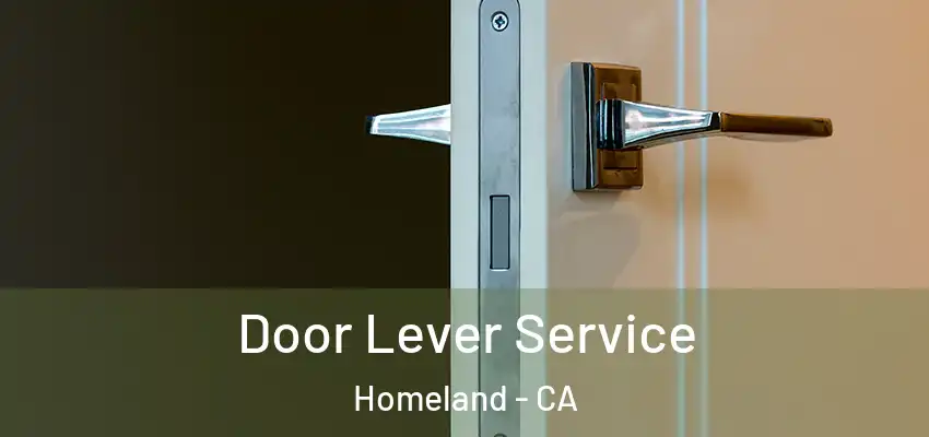 Door Lever Service Homeland - CA