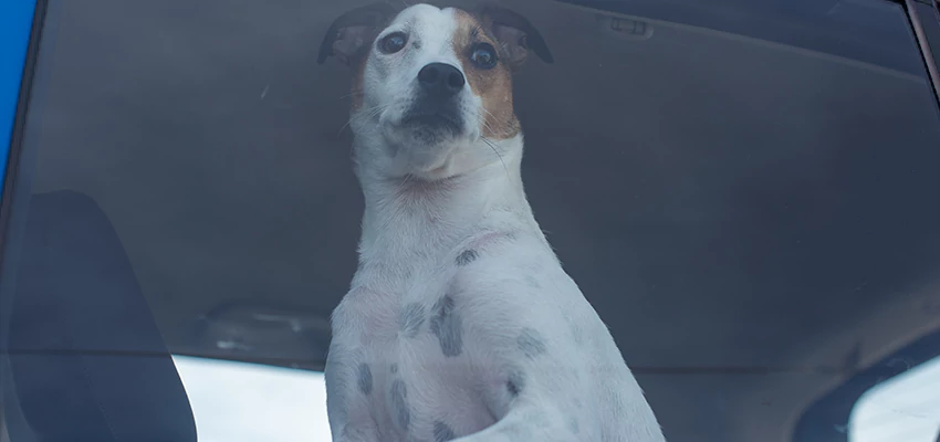 Car Lockout Solutions in Homeland, California