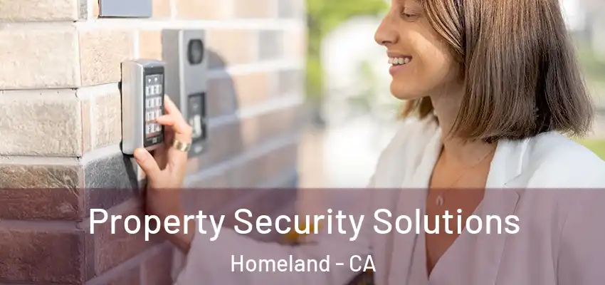 Property Security Solutions Homeland - CA